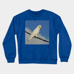 Corella ESP Crewneck Sweatshirt